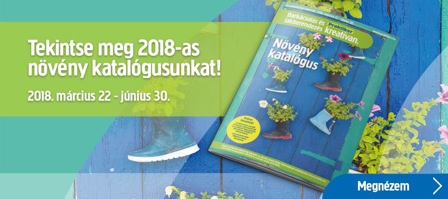 Cizà letáky action leaflet praktiker hungary Nexia hálószoba garnitúra
