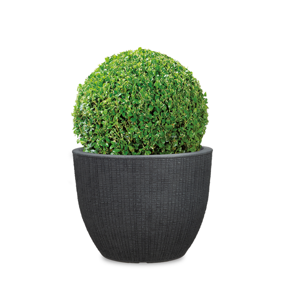 Scheurich Barceo High 54 Stony Black Stony Black, gemaakt van gerecycled kunststof, voor buiten