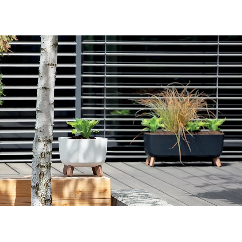 Pot De Fleurs Prosperplast, Diamètre 88 Mm, Couleur Anthracite, DRF90